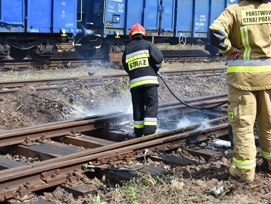 Znowu pożar podkładów kolejowych. Strażacy interweniowali przy Towarowej