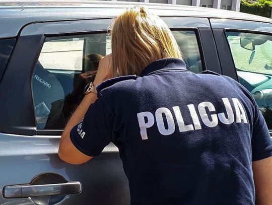 Zostawił psa w nagrzanym samochodzie i poszedł na saunę. 53-latek będzie tłumaczył się w sądzie
