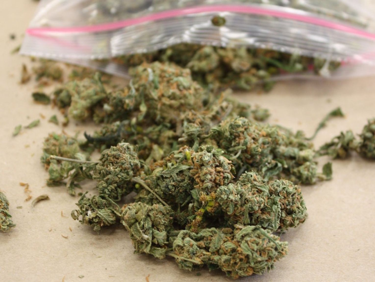 19-letni mieszkaniec Kędzierzyna-Koźla zatrzymany z marihuaną. Twierdził, iż będzie tworzyć muzykę