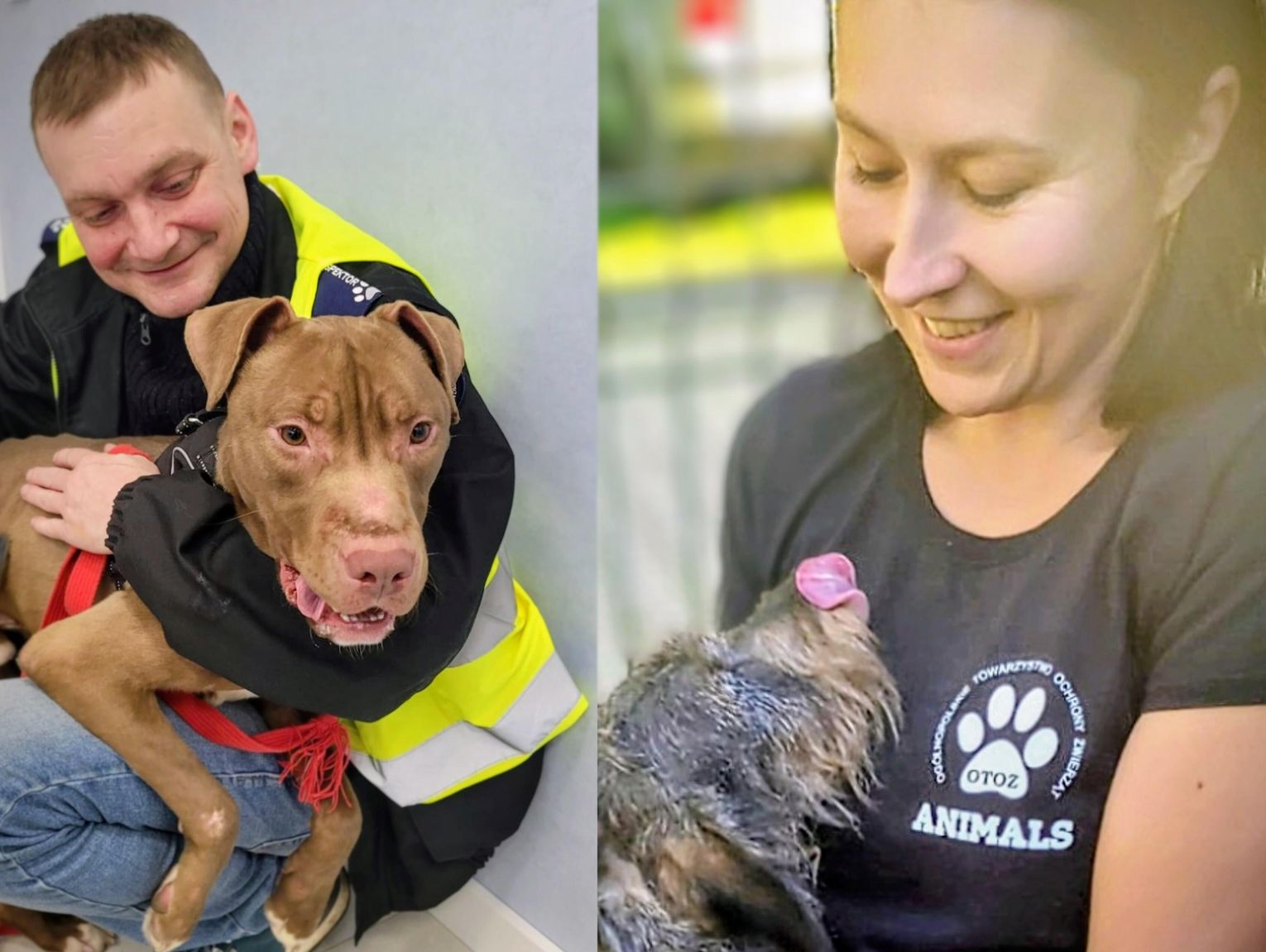 Tu liczy się liczba serc, nie wysokość kwoty. Dołącz do tych, którzy ratują – razem z OTOZ Animals Kędzierzyn-Koźle