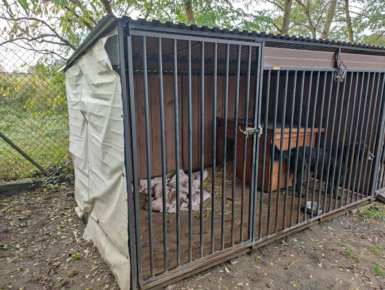 Banery wyborcze ocieplą psie budy. Drugie życie materiałom daje