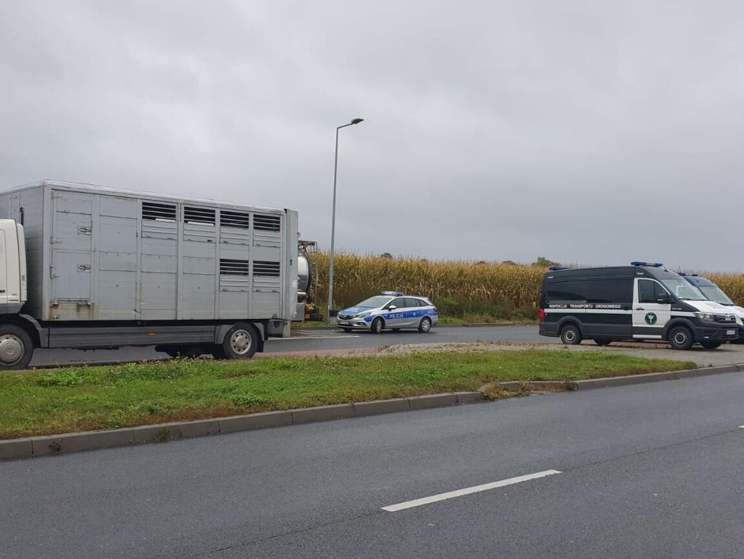 Fałszywy przegląd, brak uprawnień i problemy z tachografem. Kierowca ciężarówki zatrzymany w Reńskiej Wsi