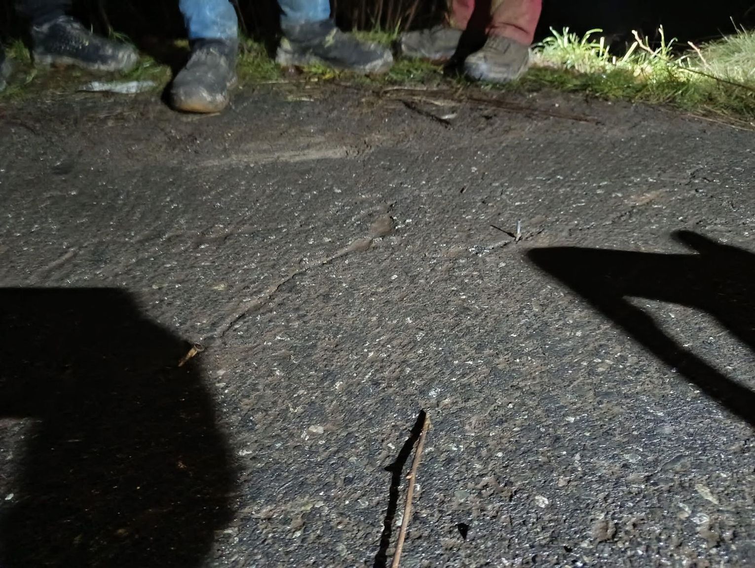 Gwoździe powbijane w asfalt. Policja poszukuje świadków i pokrzywdzonych