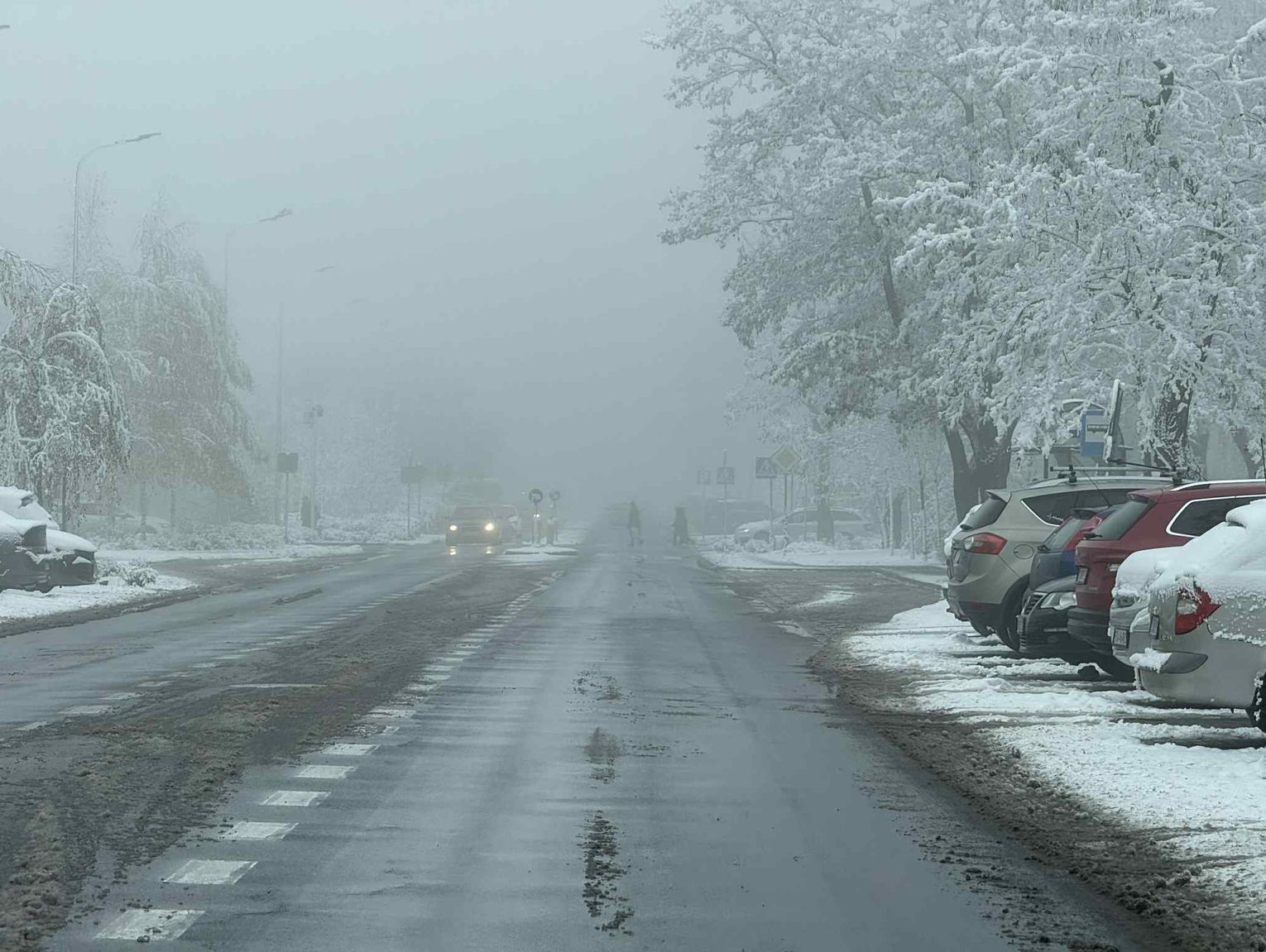 Kolejne ostrzeżenie pogodowe dla regionu. Do jutra mogą utrzymywać się gęste mgły