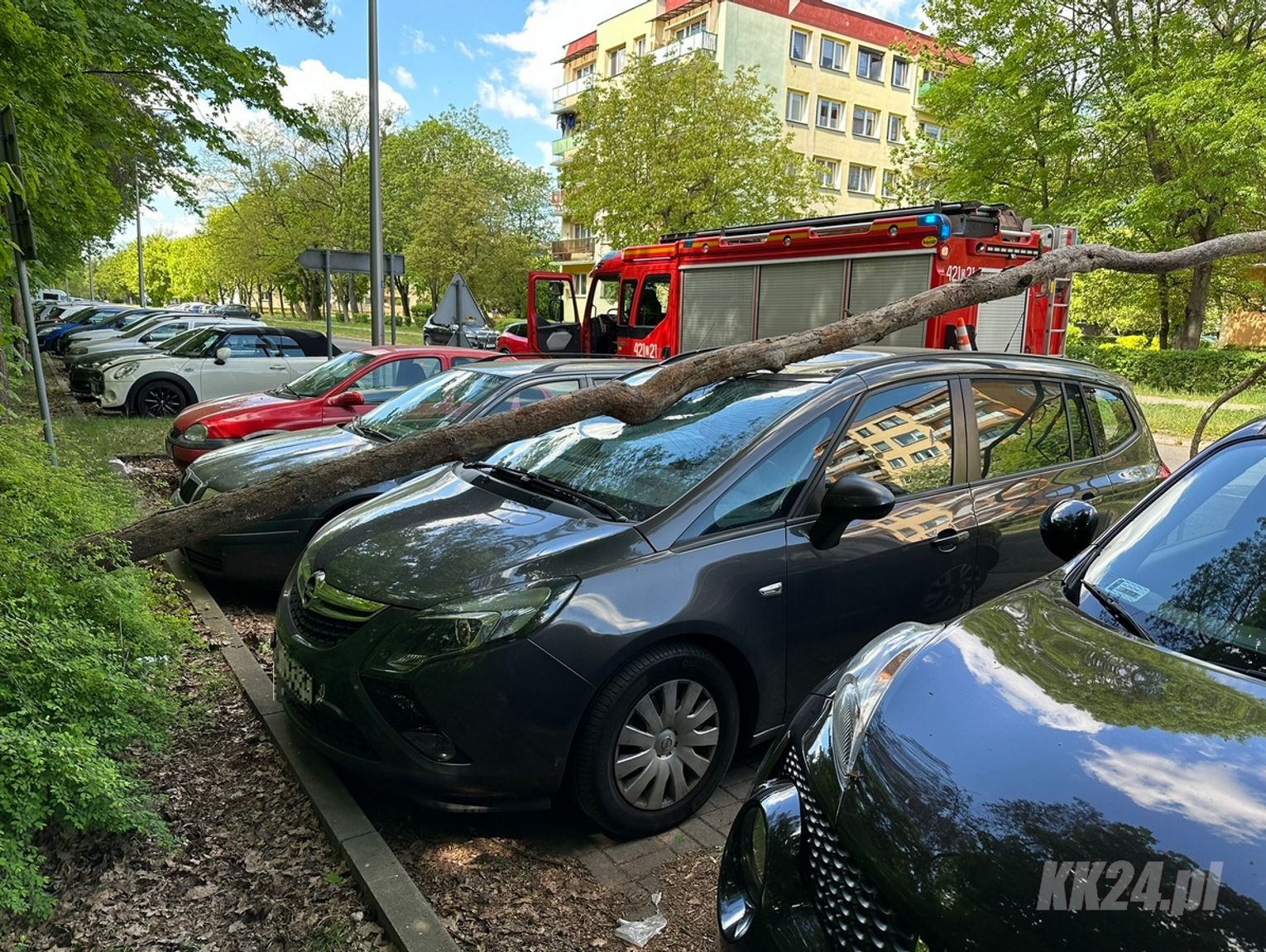 Konar drzewa spadł na zaparkowany samochód. Służby interweniowały na Pogorzelcu