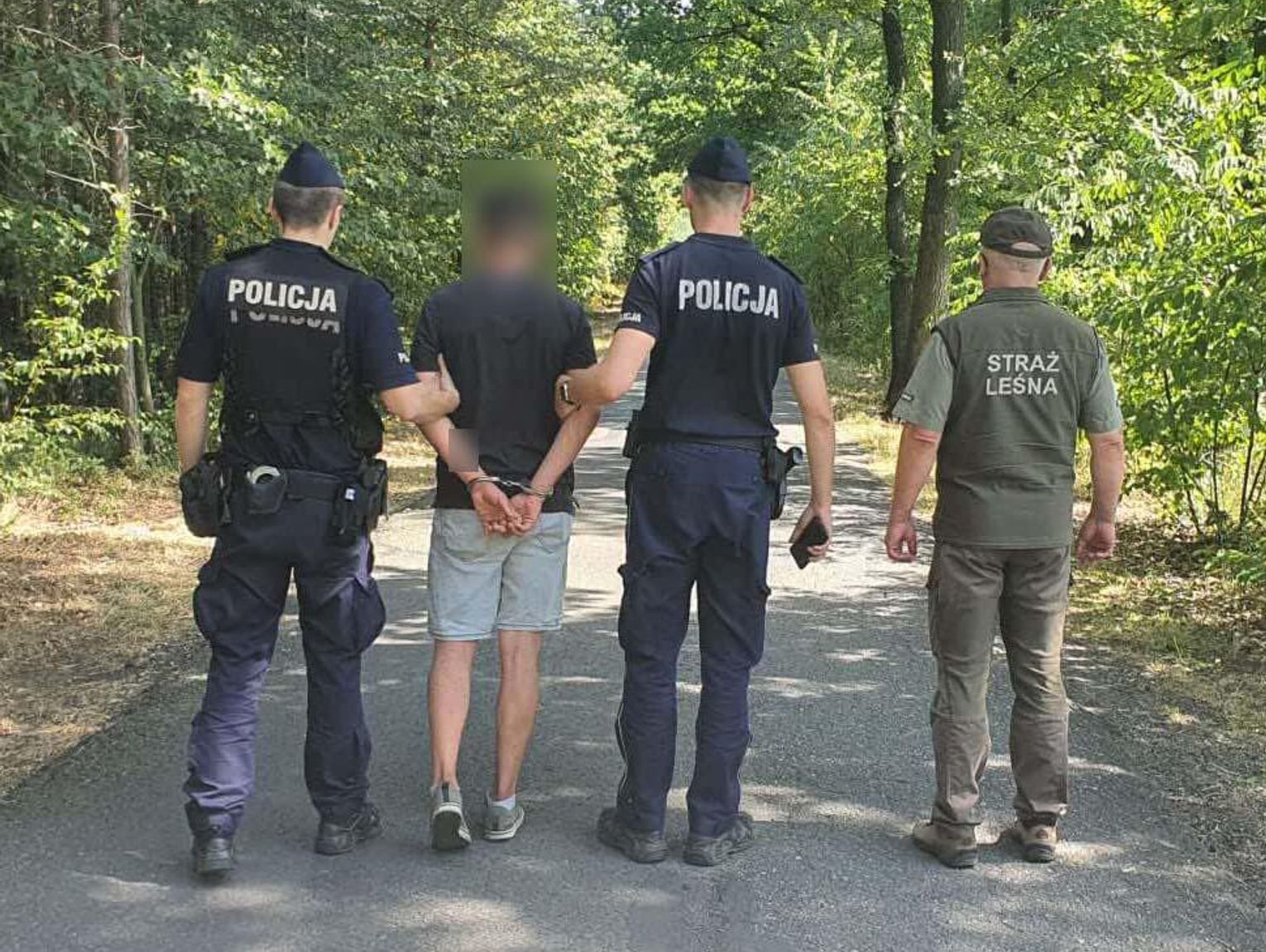 Mają podpalacza! Młody mężczyzna odpalał petardy. Leśnik usłyszał huk i go zatrzymał