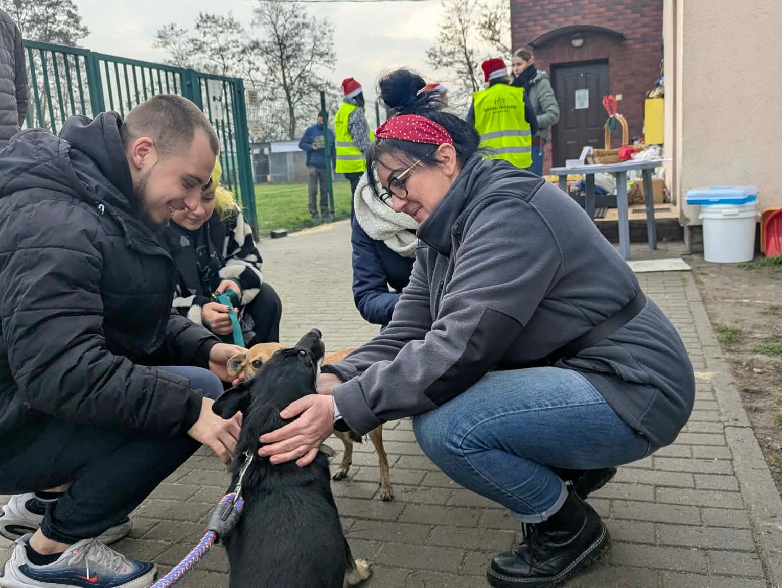 Mikołajki w schronisku. Dzień otwarty „Przyjdź, Poznaj, Pokochaj” przyciągnął wielu miłośników zwierząt
