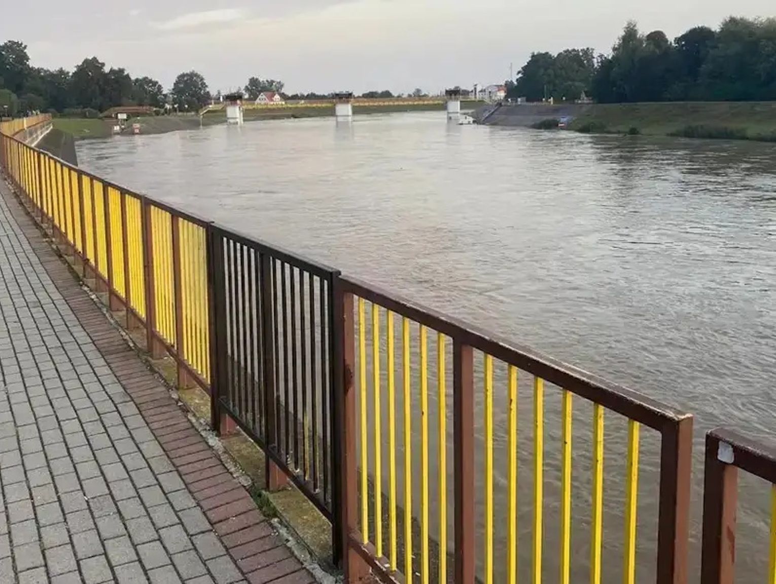 Mniej śniętych ryb w Odrze. Sytuacja powoli się stabilizuje