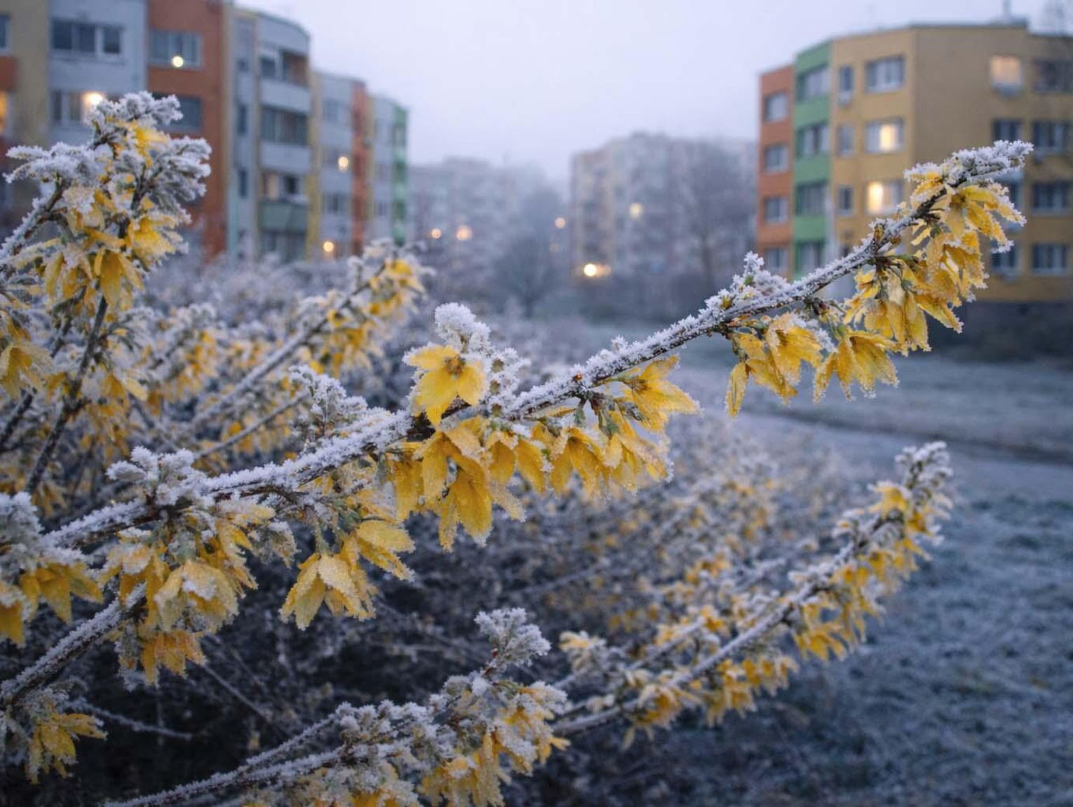 Mroźny początek wiosny. W nocy z niedzieli na poniedziałek temperatura może spaść poniżej zera