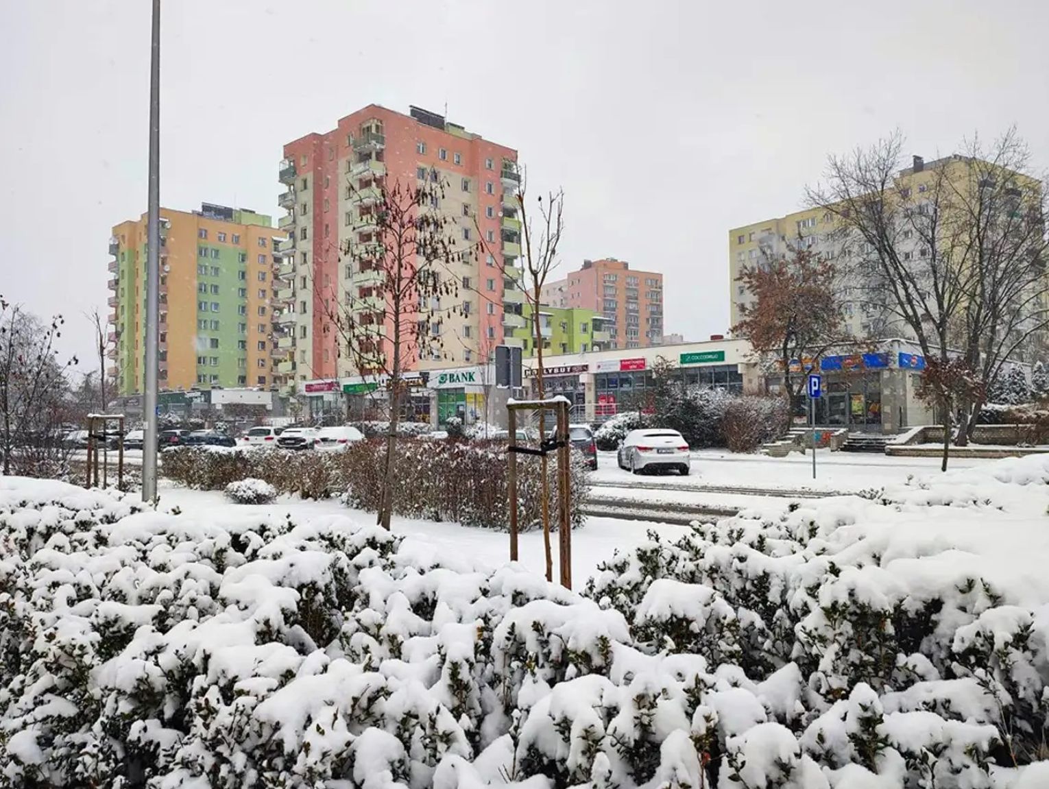 Niedziela pod znakiem zamieci i zawiei śnieżnych. Ostrzeżenie meteorologiczne dla naszego powiatu
