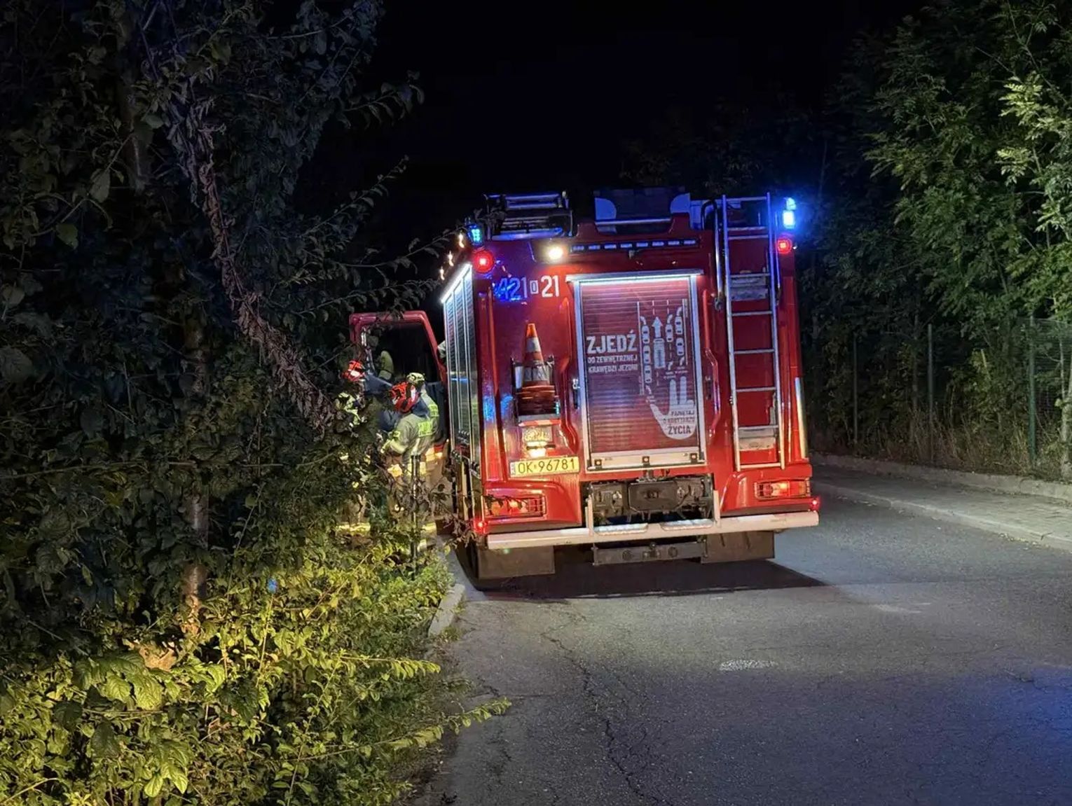 Nocny pożar w lesie przy torowisku. Strażacy walczą z ogniem w rejonie Blachowni