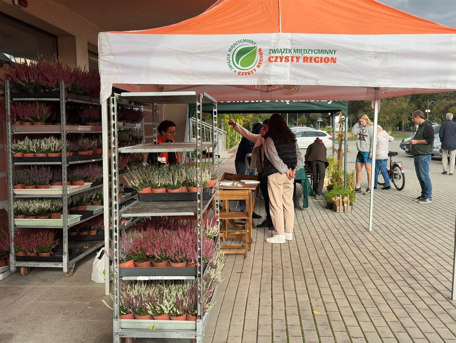 „Olej Zdasz, Drzewko Masz!” i wymiana elektroodpadów. Zielony piątek w Kędzierzynie-Koźlu!