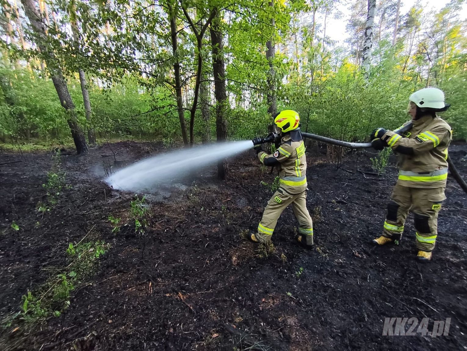 Płonące lasy i nieużytki. Strażacy mieli pełne ręce pracy podczas majówki