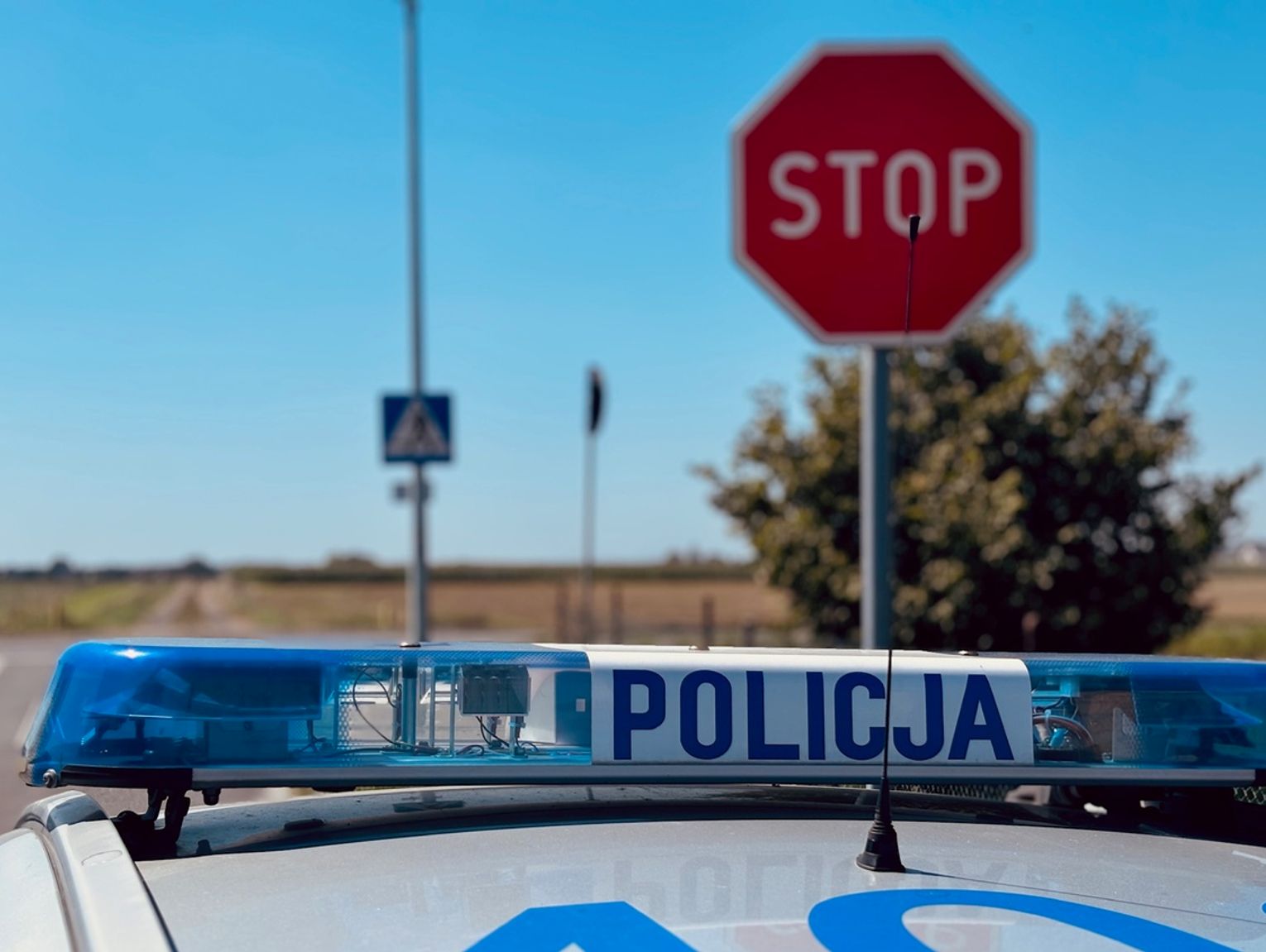 Policjanci zatrzymali dwóch kierowców "na zakazie". Jeden z nich był poszukiwany i miał narkotyki