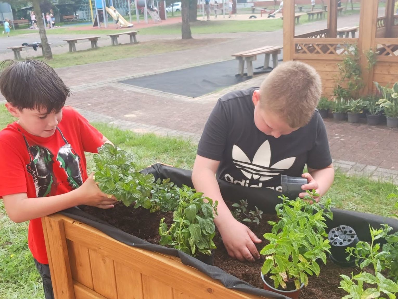 Przy trzech miejskich podstawówkach i przedszkolu powstają ekologiczne przestrzenie dla dzieci