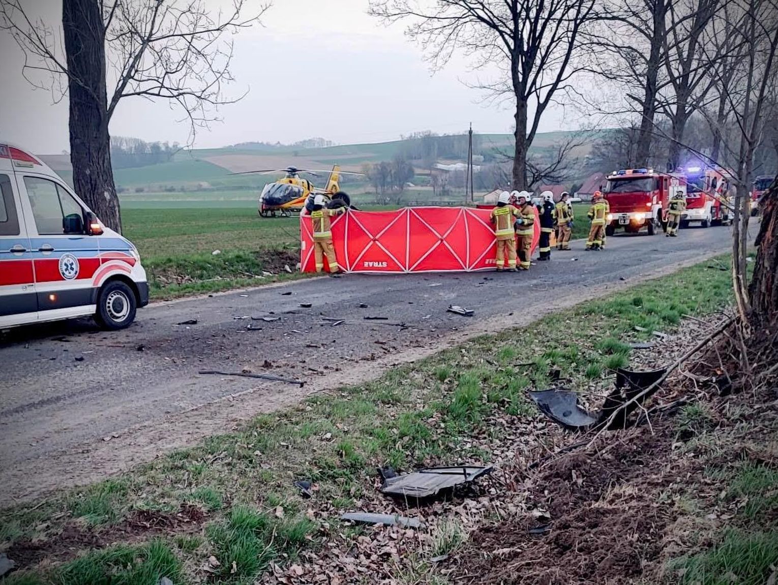 Śmiertelny wypadek między Lisięcicami a Milicami. Samochód uderzył w drzewo