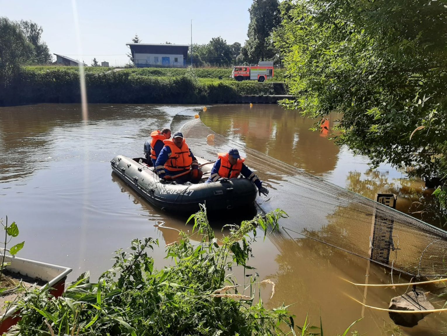 Śnięte ryby w Odrze, Kanale Gliwickim i Kanale Kędzierzyńskim. W wodzie stwierdzono wirusa CyHV-2