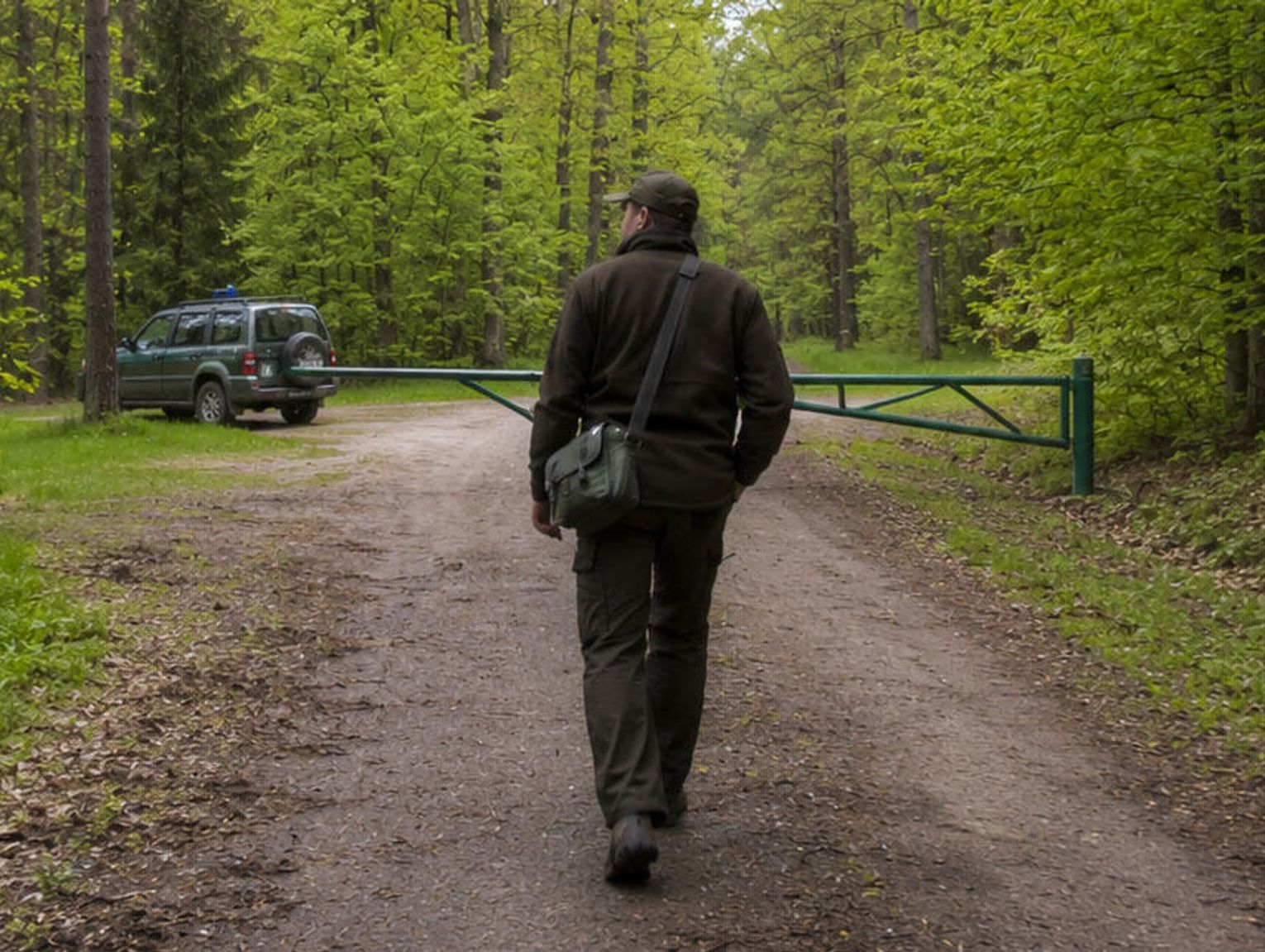 Spacer po lesie z leśniczym. Mieszkańcy Kuźniczki chcą rozmawiać o stanie zdrowia drzew