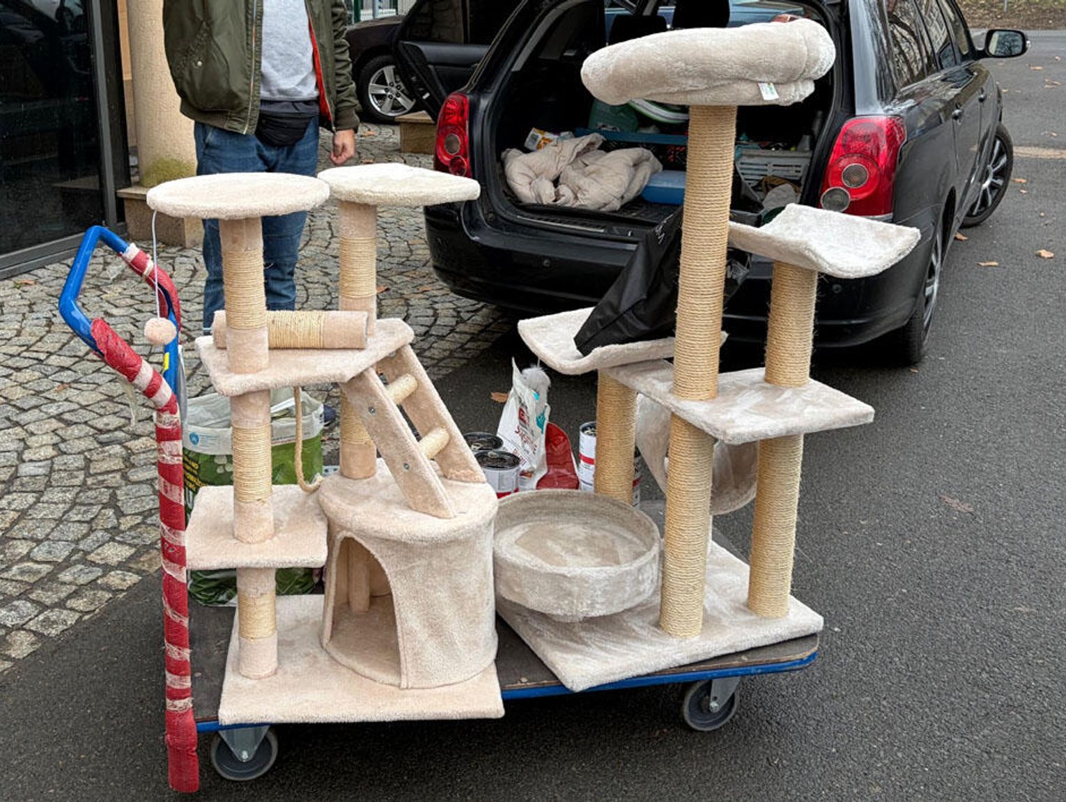 Urzędnicy magistratu dołączyli do akcji „Zbiórka pyszności dla futrzastości”. Przekazali karmę i akcesoria