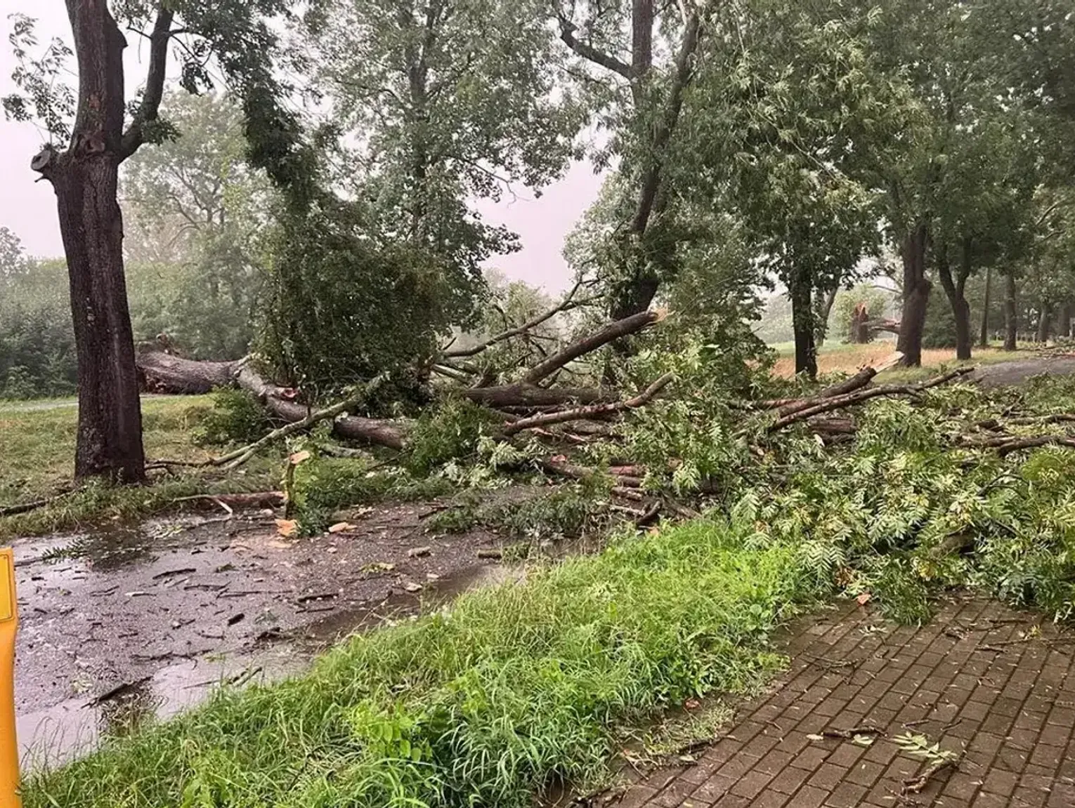 Uwaga kierowcy! Burza powoduje utrudnienia na drogach w regionie