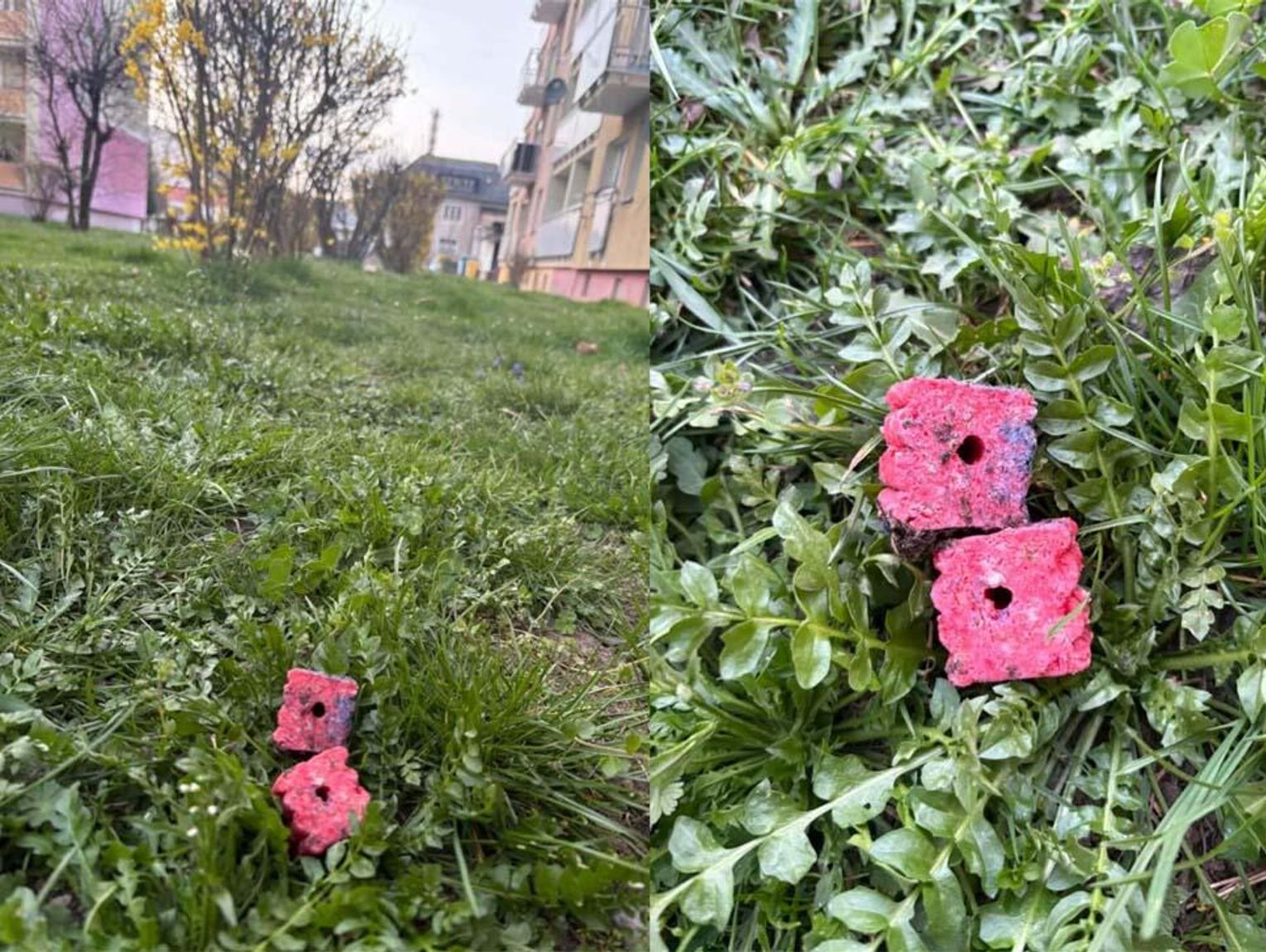 Uwaga! Ktoś może próbować zatruć zwierzęta. Dziwna substancja rozrzucona na osiedlu i ogródkach