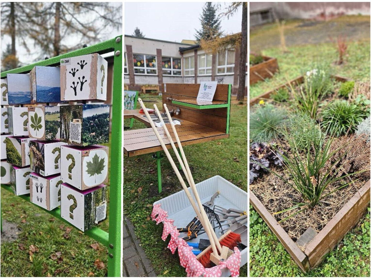 W Publicznej Szkole Podstawowej nr 3 powstała "Pracownia pod chmurką". Teraz lekcje przyrody są dużo ciekawsze
