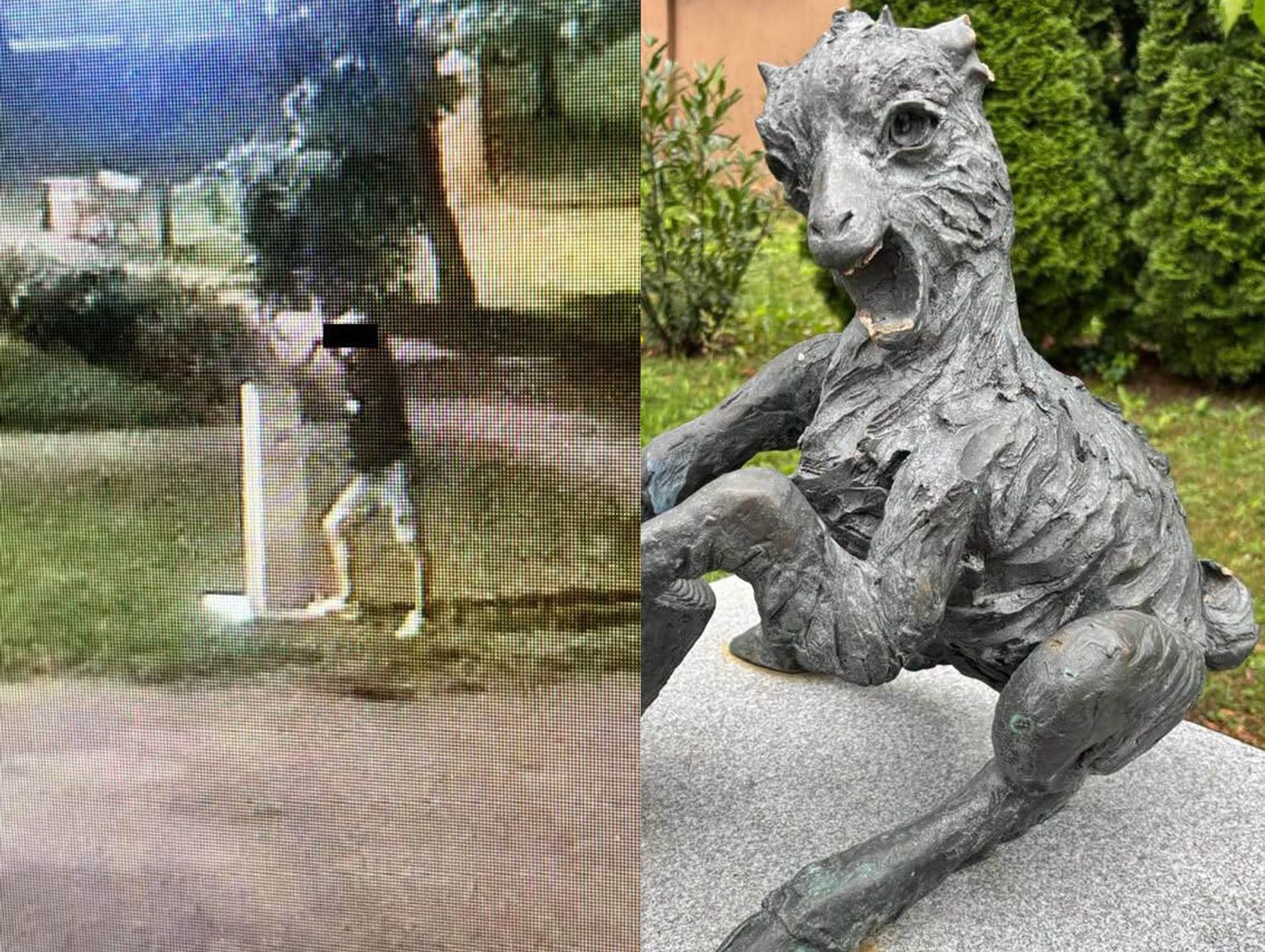 Wandal nie odpuszcza. Zniszczył kolejne koziołki i pomnik ZAKSY. Nagrał go monitoring