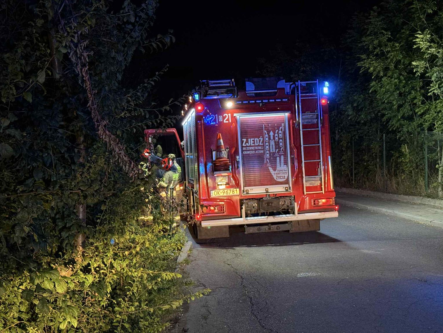 Zadymienie nad ogródkami działkowymi. Na miejscu dwa zastępy straży pożarnej