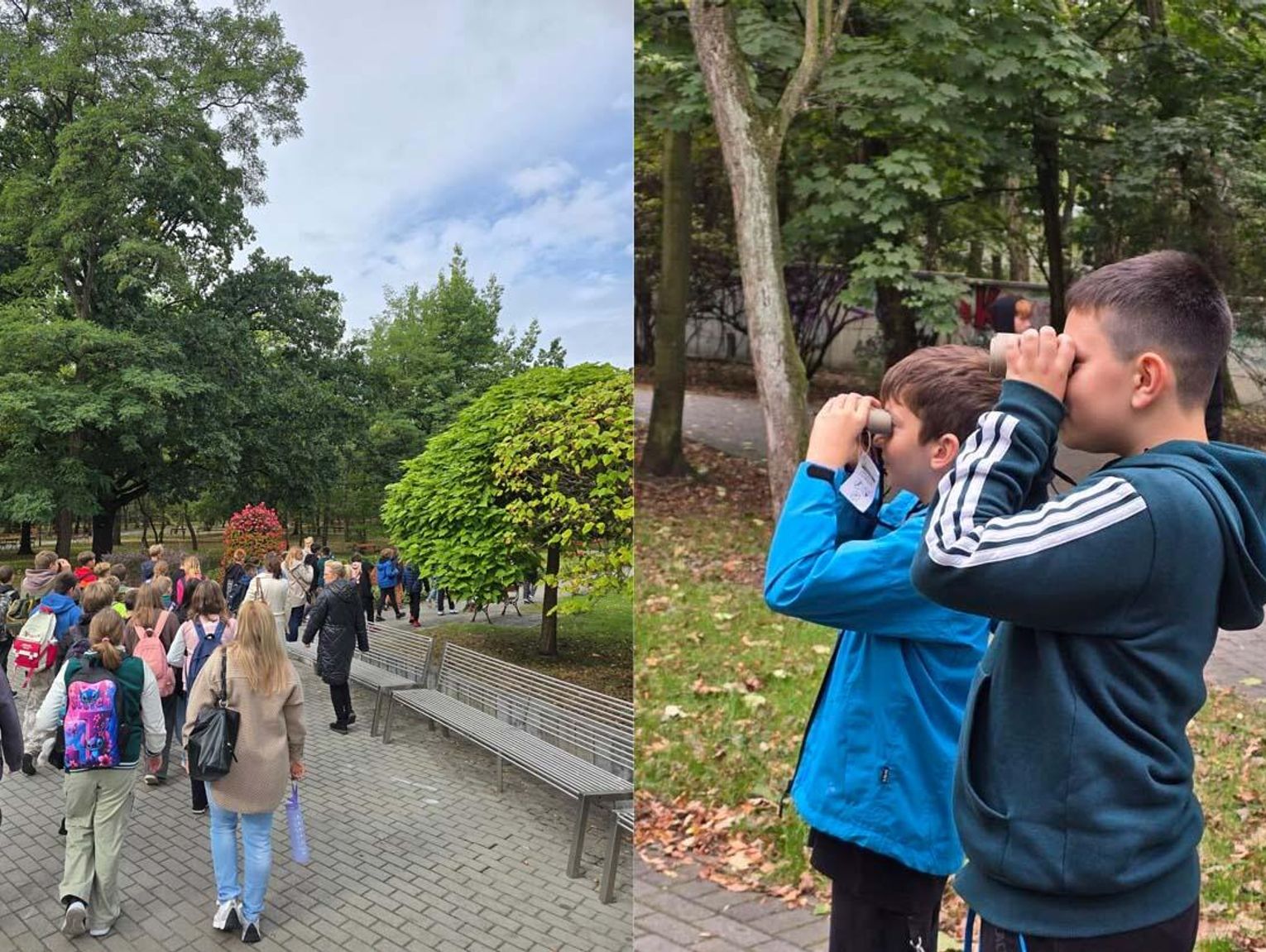 Zamiast telefonów chwycili lornetki i ruszyli na poszukiwania okazów ptaków i drzew. Przyrodnicza przygoda w centrum