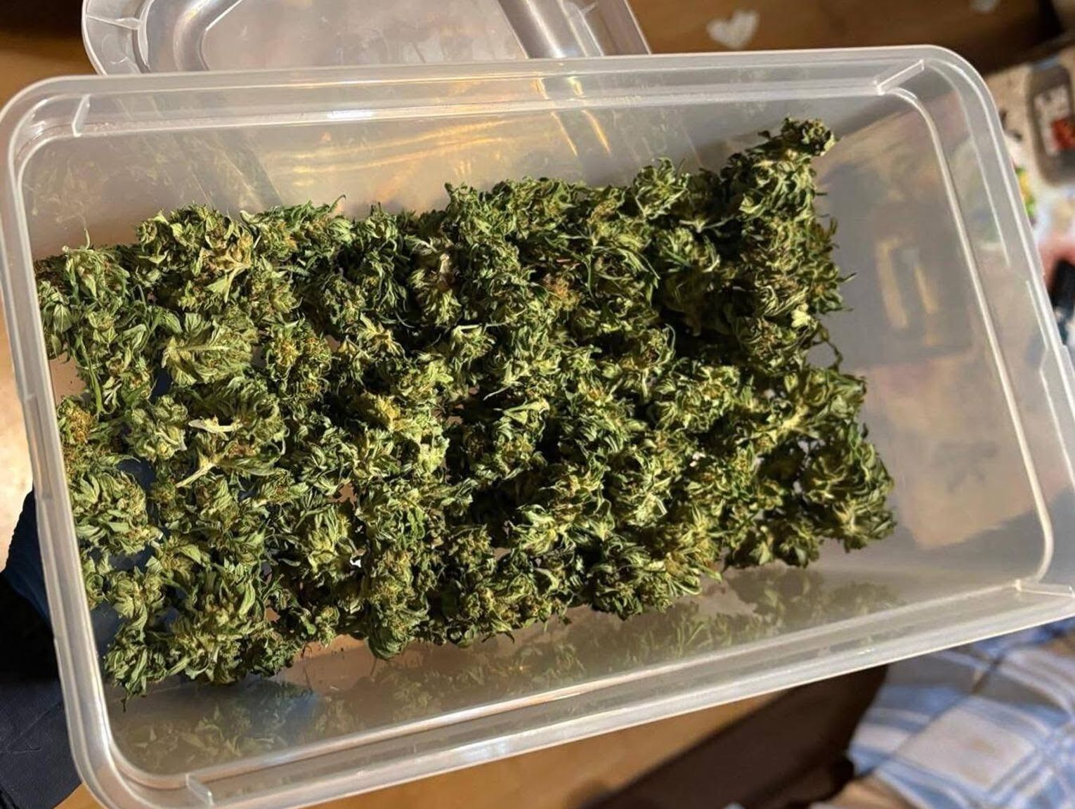 Zatrzymany podczas rutynowej kontroli. Okazało się, iż jest poszukiwany i pod wpływem narkotyków