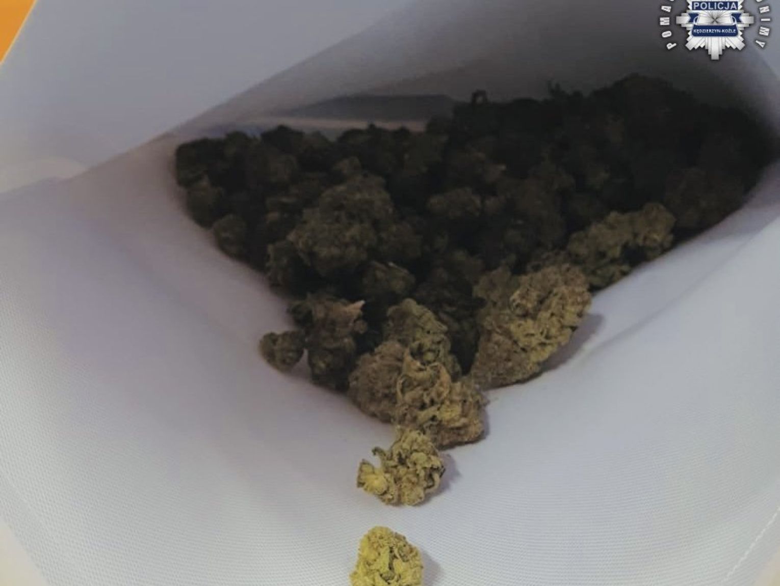 Zatrzymany z narkotykami wpadł podczas rutynowej kontroli