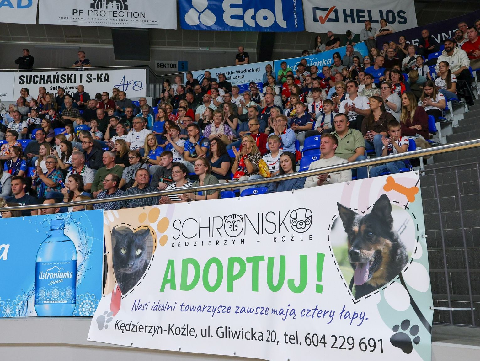 „Zbiórka pyszności dla futrzastości” już dziś. Kibice ZAKSY mogą pomóc bezdomnym zwierzętom