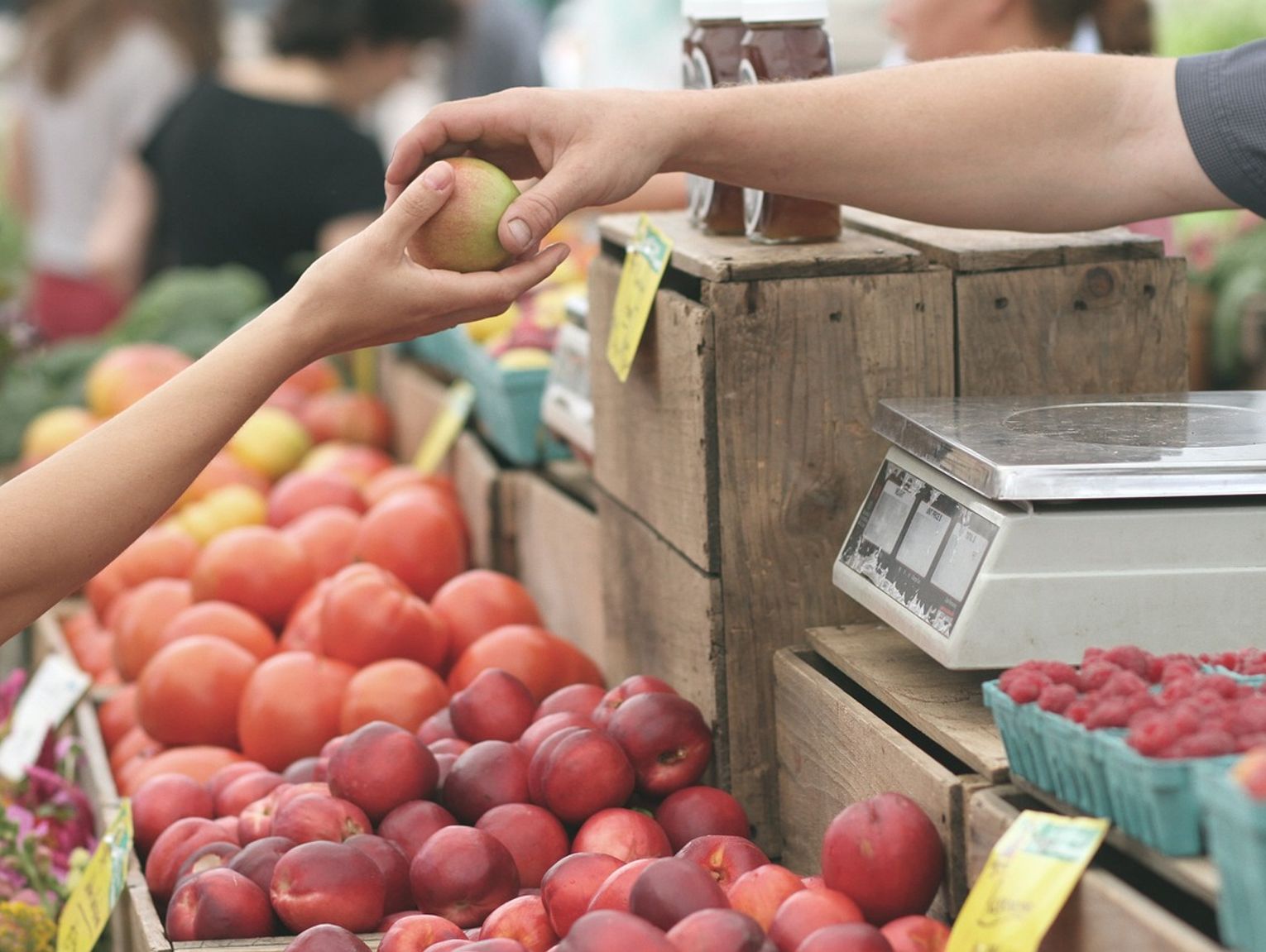 Zdrowe i ekologiczne produkty prosto od lokalnych producentów. Terminy Bazarów z Utopcem aż do czerwca