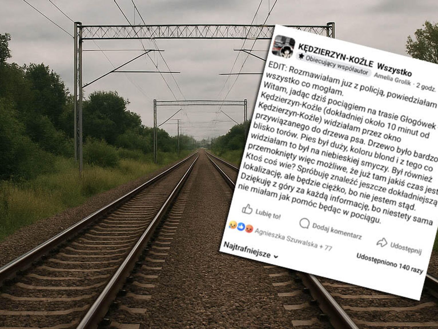 Zobaczyła psa przywiązanego przy torach. Ludzie ruszyli na pomoc. Wzruszająca mobilizacja po jednym poście