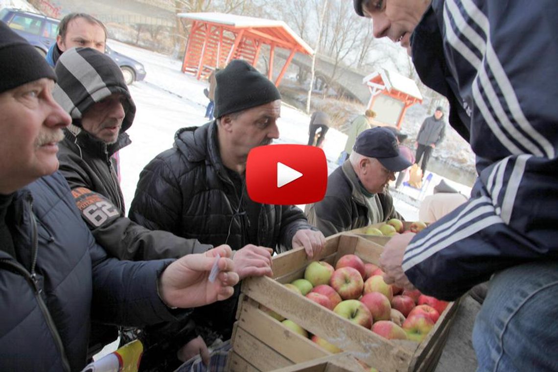 18 ton darmowych jabłek rozeszło się w mgnieniu oka - WIDEO