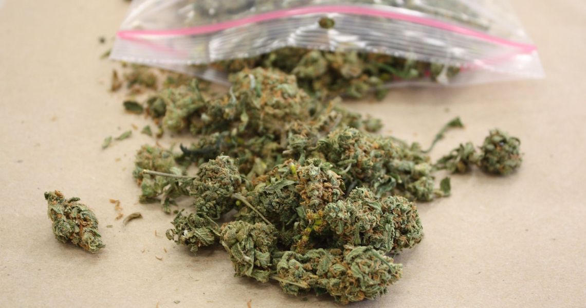 19-letni mieszkaniec Kędzierzyna-Koźla zatrzymany z marihuaną. Twierdził, że będzie tworzyć muzykę 19-letni mieszkaniec Kędzierzyna-Koźla zatrzymany z marihuaną. Twierdził, że będzie tworzyć muzykę