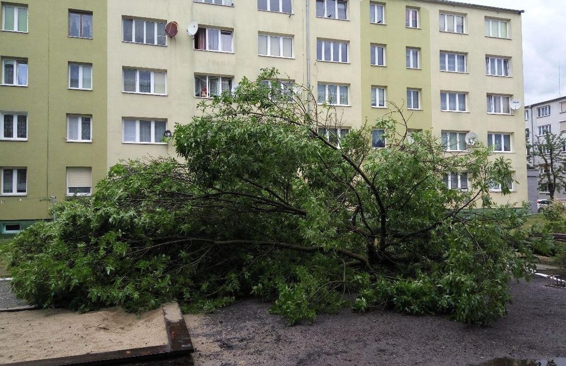 26 interwencji strażaków po wczorajszej burzy. Tym razem obyło się bez większych szkód