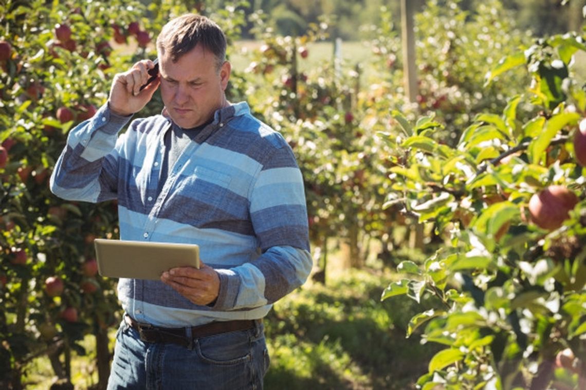 5 kwestii, które warto sprawdzić planując internet na wsi