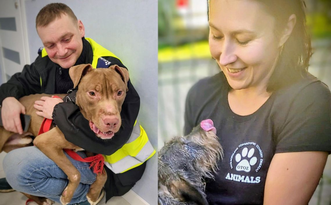 Tu liczy się liczba serc, nie wysokość kwoty. Dołącz do tych, którzy ratują – razem z OTOZ Animals Kędzierzyn-Koźle Tu liczy się liczba serc, nie wysokość kwoty. Dołącz do tych, którzy ratują – razem z OTOZ Animals Kędzierzyn-Koźle