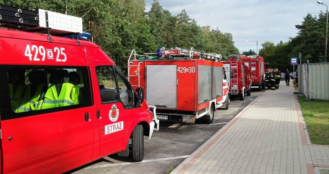 Akcja ratunkowa w Śródmieściu. Policjanci i strażacy przeczesują las w poszukiwaniu starszego mężczyzny