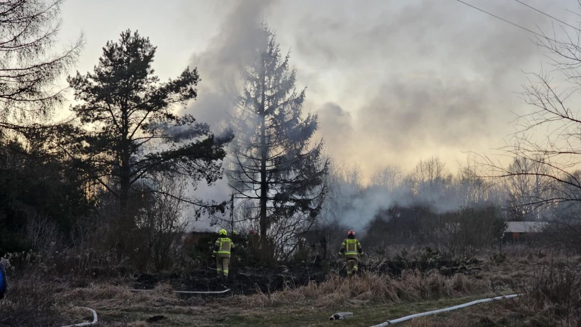 Altanka spłonęła doszczętnie. Służby interweniowały w Śródmieściu