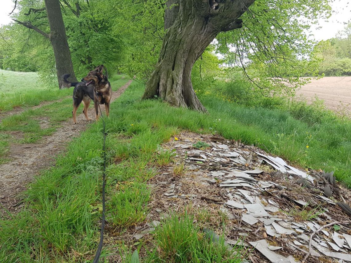 „Babeczki znad rzeczki” znowu ruszają w teren. Tym razem posprzątają okolice schroniska dla zwierząt