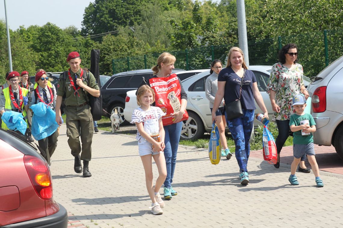 Babeczki zrobiły porządek i pomogły bezdomnym zwierzakom. Kolejna edycja akcji społecznej