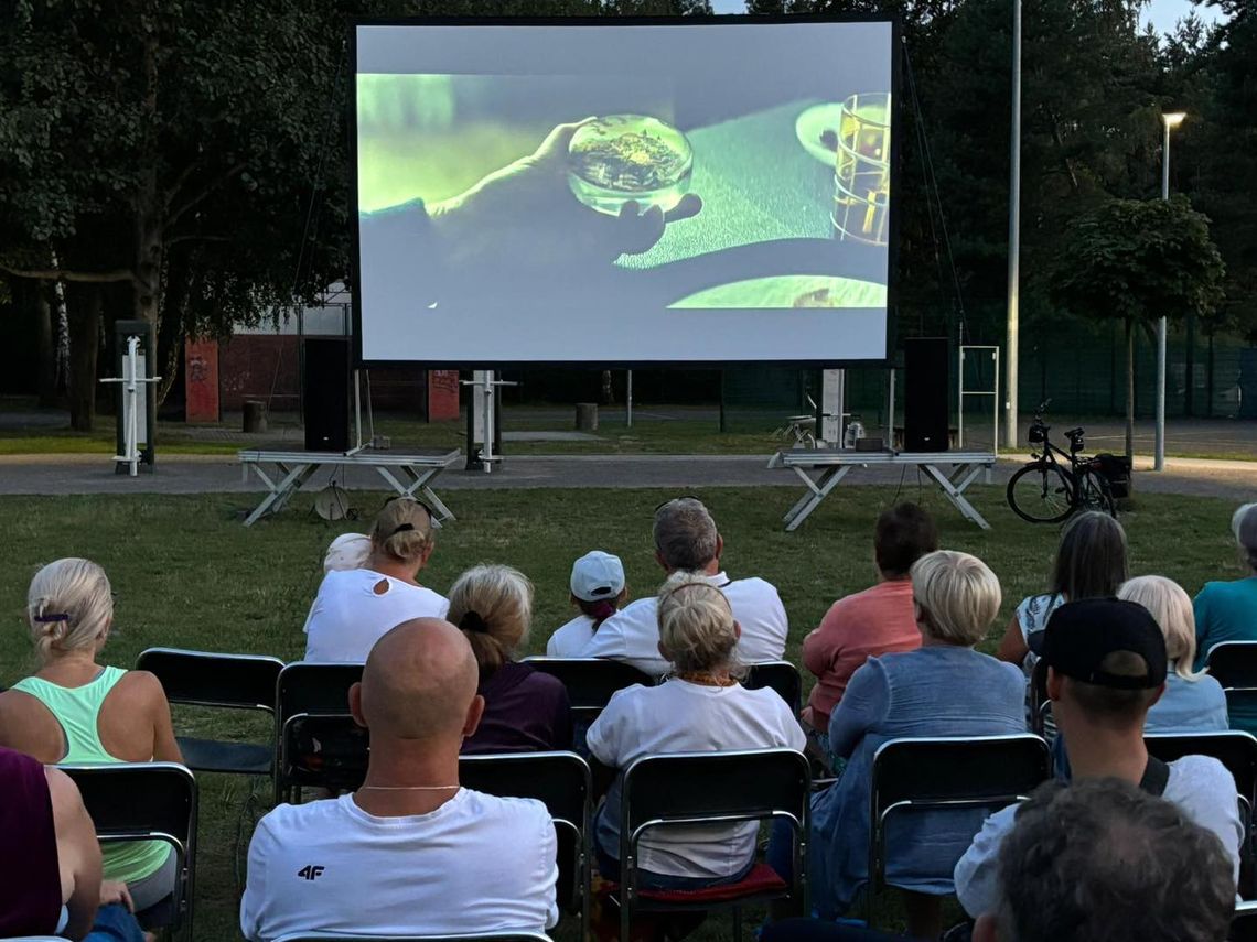 Będzie kolejne kino plenerowe. Już w piątek projekcja komedii przygodowej "Pies i Kot" na stadionie w Cisowej