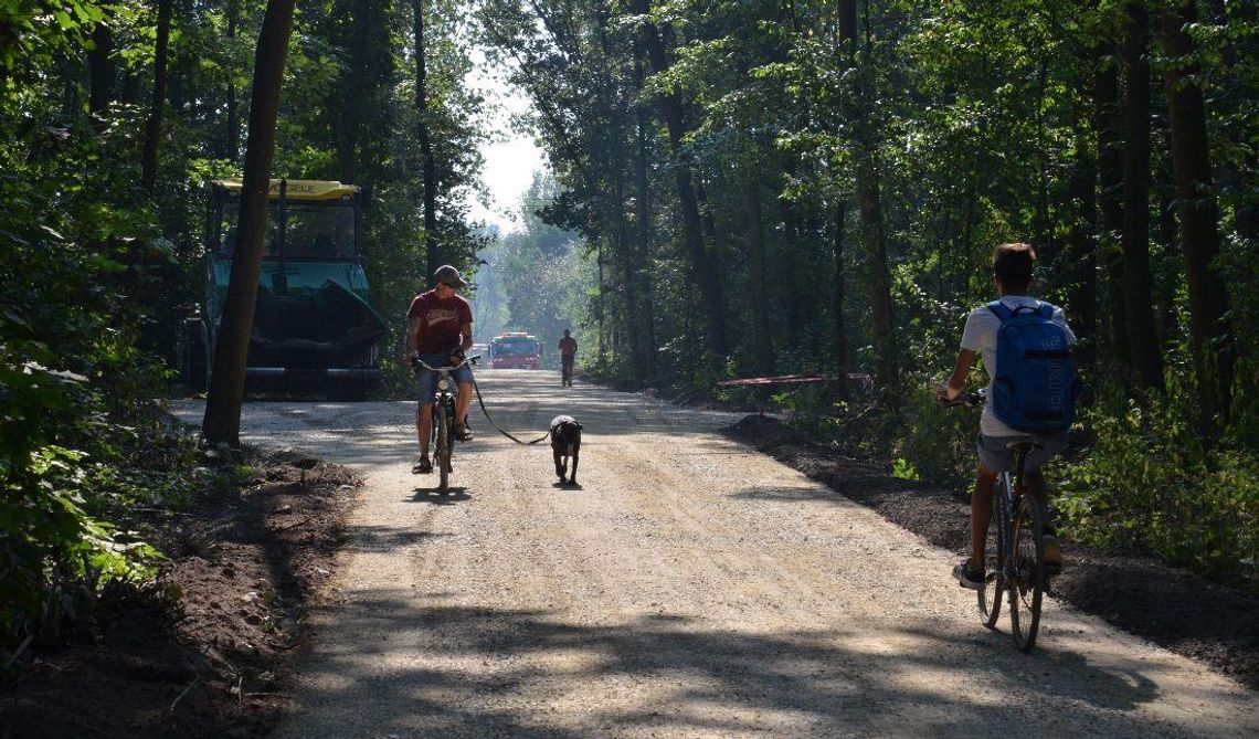 Budowa ścieżki rowerowej na Żabieniec idzie zgodnie z planem. Inwestycja na półmetku. ZDJĘCIA