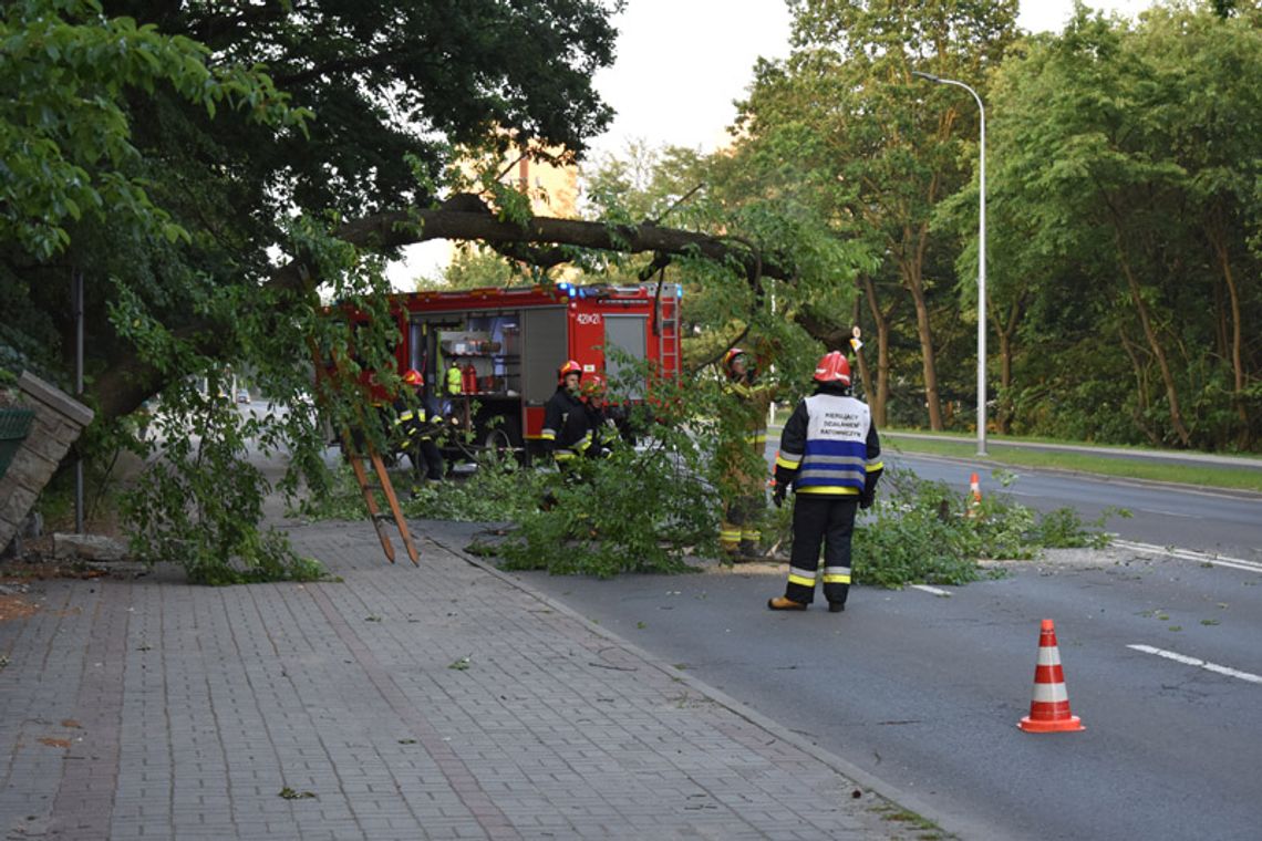 Cmentarne drzewo runęło na aleję Jana Pawła II. Interwencja straży pożarnej