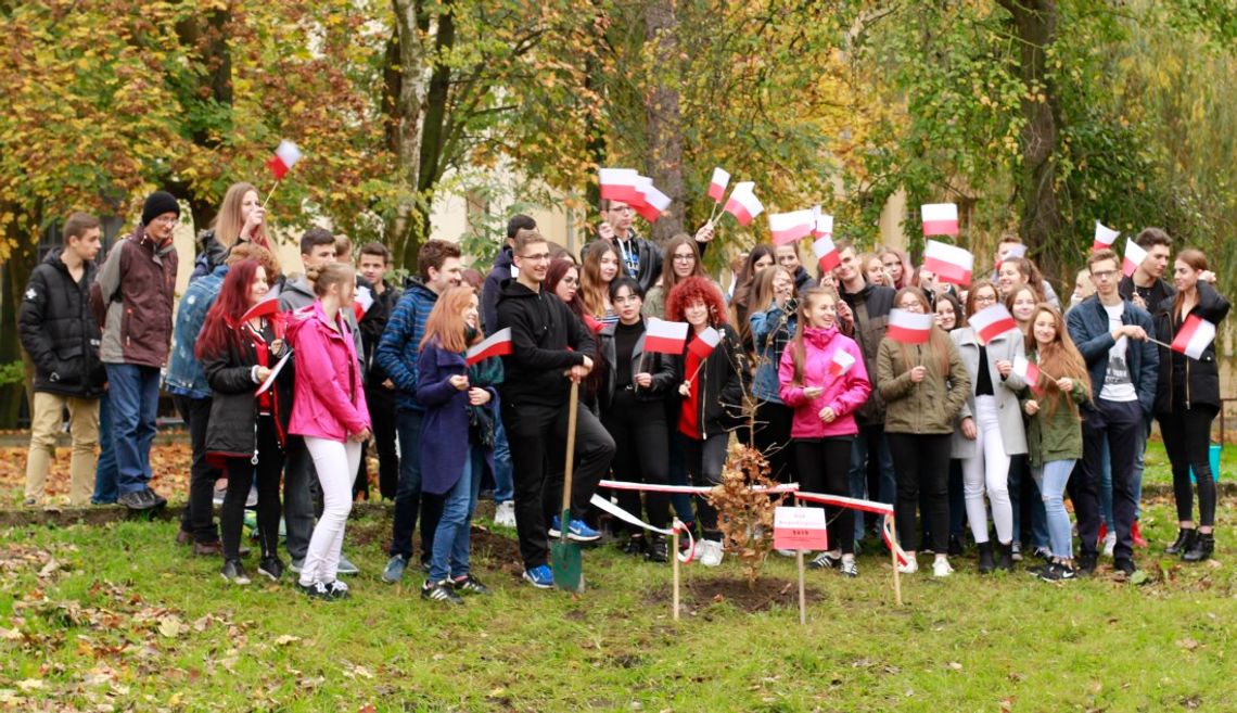 Dąb Niepodległości i kapsuła czasu - tak licealiści świętują 100-lecie odzyskania niepodległości