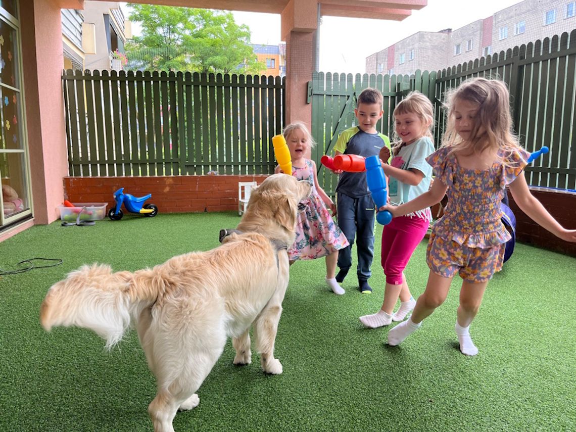 Darmowa dogoterapia i nauka języków. Przedszkole ESPERO przyjmuje dzieci z zespołem Aspergera i spektrum autyzmu