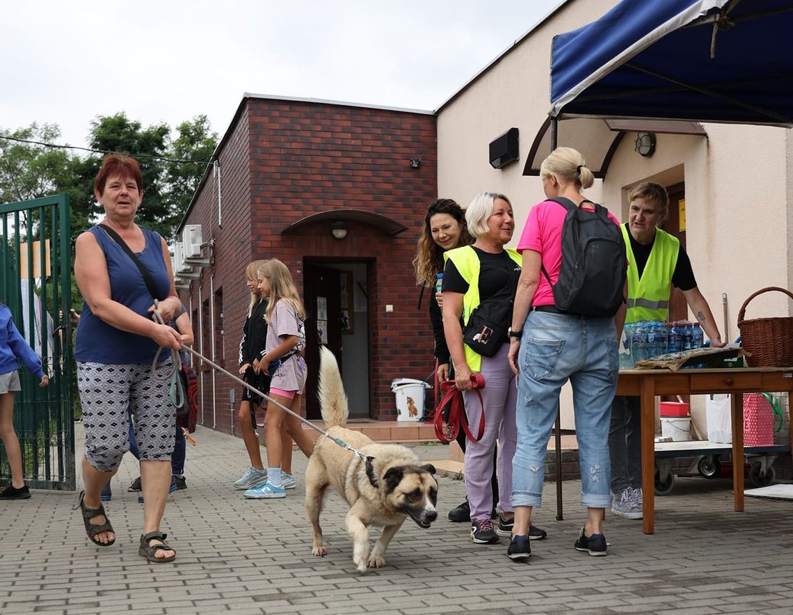 Dni Otwarte w Schronisku dla Bezdomnych Zwierząt. Mieszkańcy otworzyli dla nich swoje serca