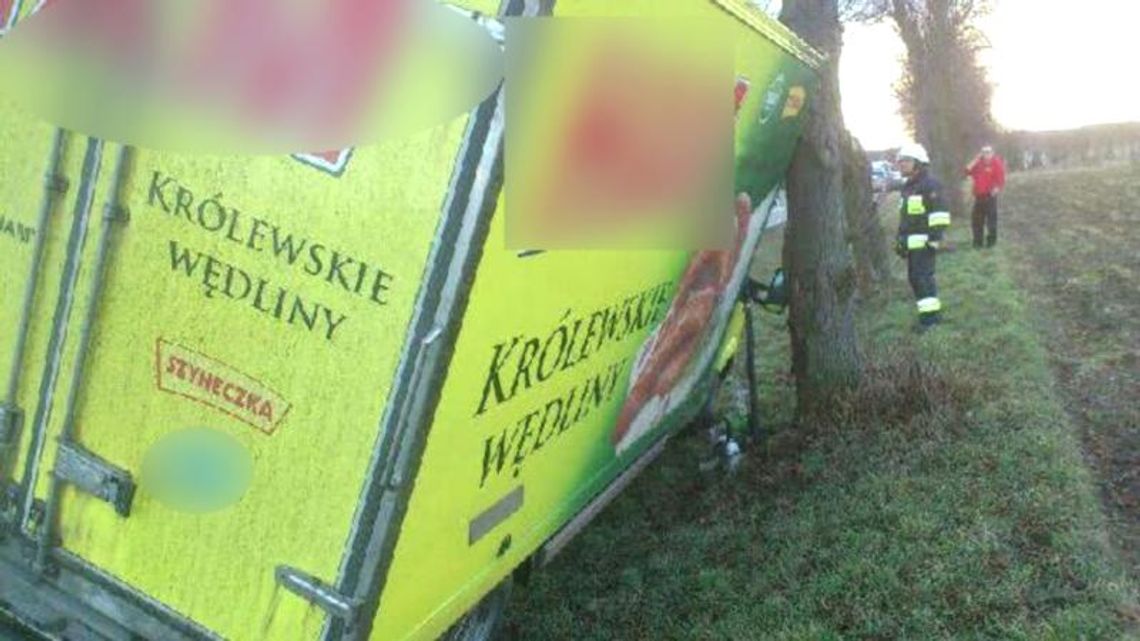 Dostawczy mercedes wypadł z drogi krajowej nr 45 w Reńskiej Wsi. ZDJĘCIA